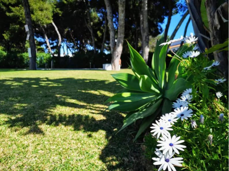 ¡Nuevo! Zona Tranquila Cerca De La Playa De La Carihuela Leilighet Torremolinos Eksteriør bilde